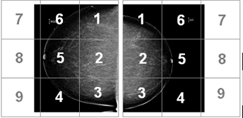 1:1 Navigator quadrant example