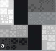 Sample test image, used to assess monitor sharpness, noise, and contrast