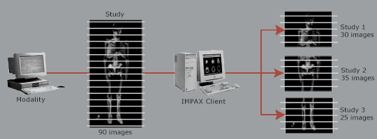 Diagram of study segment