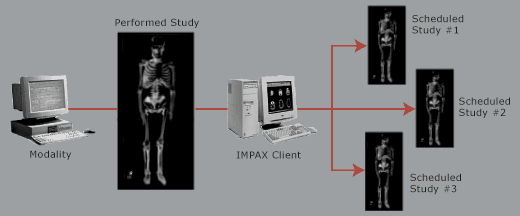 Diagram of cloned studies