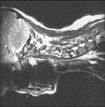 Image rotated 90 degrees to the left