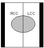 RCC / LCC image