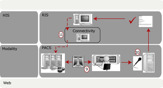 Reporting phase of a scheduled study