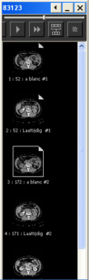 Available Series palette