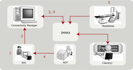 Workflow within a single IMPAX cluster