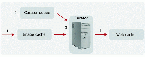 Workflow: Image cache and web cache