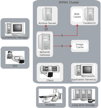 Display Station to Network Gateway to Archive Server