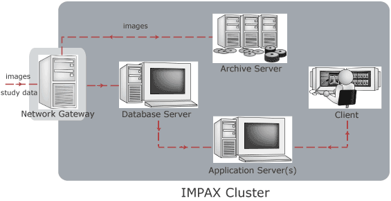 IMPAX Cluster