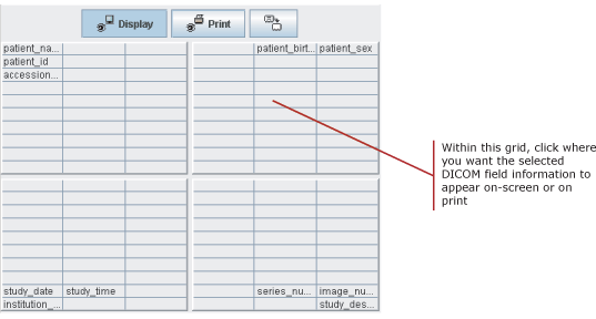 Demographic Layout grid