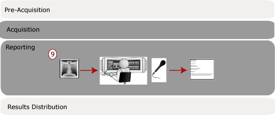 Reporting phase of a scheduled study